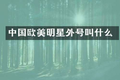 中国欧美明星外号叫什么