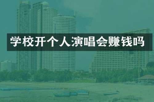 学校开个人演唱会赚钱吗