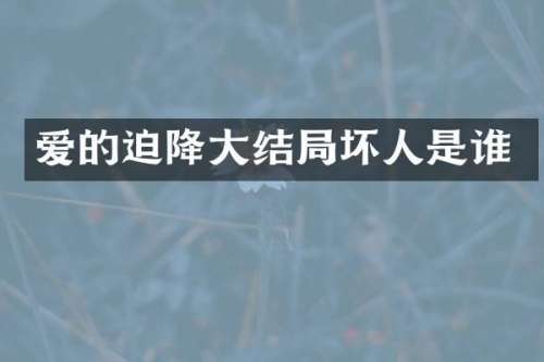 爱的迫降大结局坏人是谁