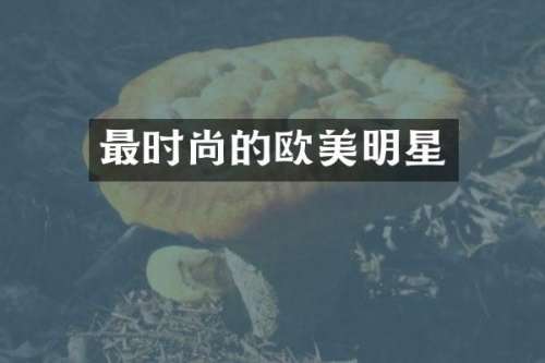 最时尚的欧美明星
