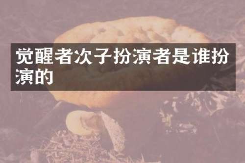 觉醒者次子扮演者是谁扮演的