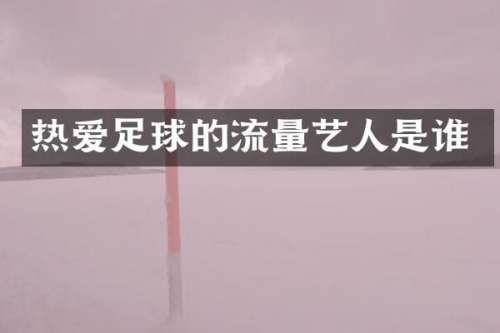 热爱足球的流量艺人是谁