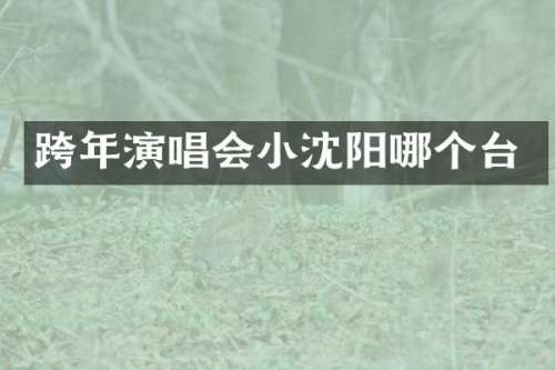 跨年演唱会小沈阳哪个台