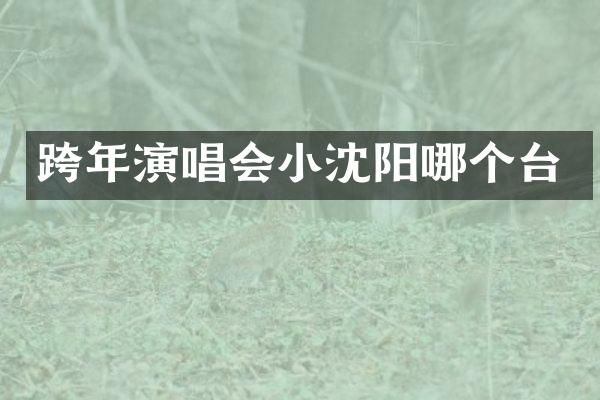 跨年演唱会小沈阳哪个台
