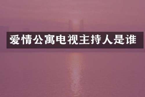 爱情公寓电视主持人是谁