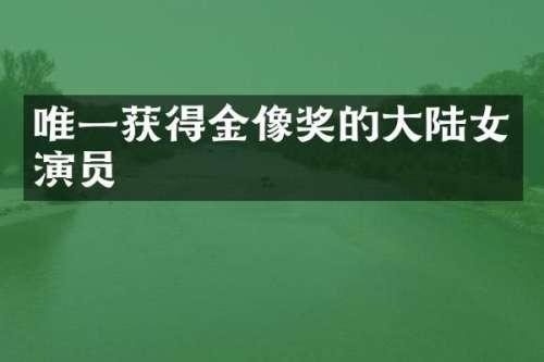 唯一获得金像奖的大陆女演员