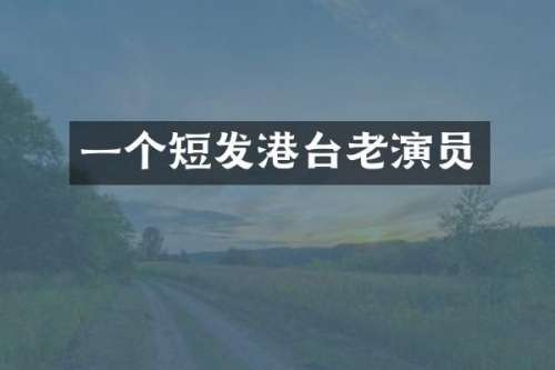 一个短发港台老演员