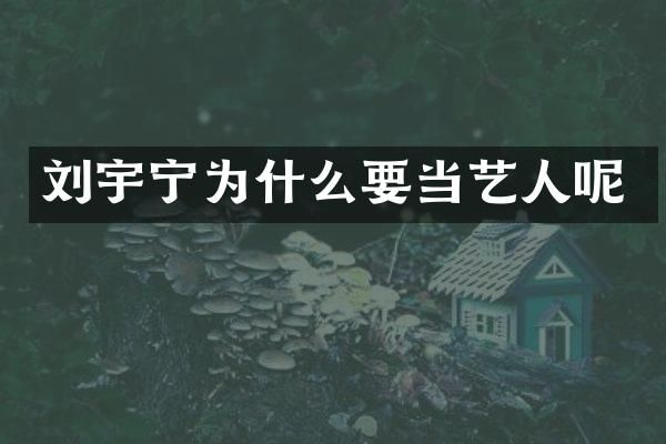 刘宇宁为什么要当艺人呢