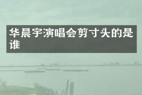 华晨宇演唱会剪寸头的是谁