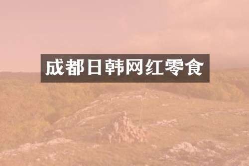 成都日韩网红零食
