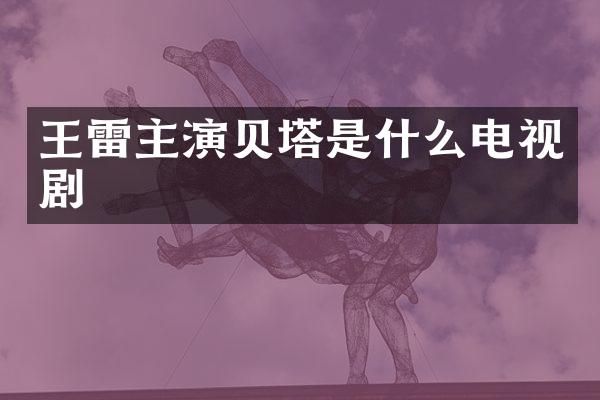 王雷主演贝塔是什么电视剧