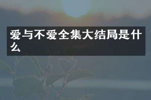 爱与不爱全集大结局是什么