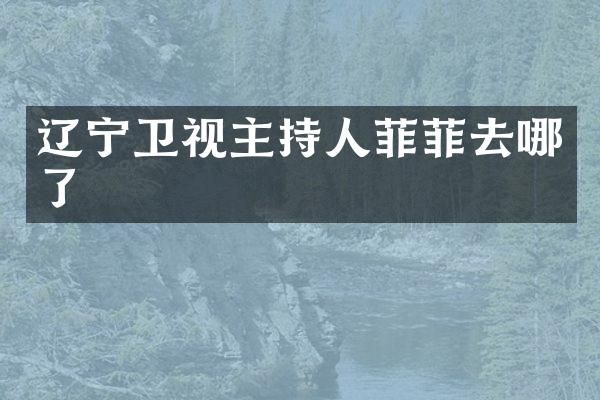 辽宁卫视主持人菲菲去哪了