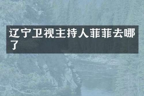 辽宁卫视主持人菲菲去哪了
