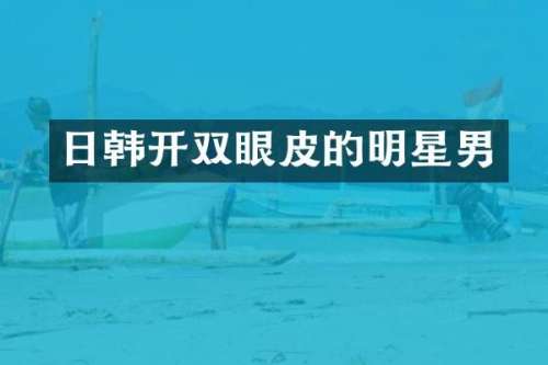 日韩开双眼皮的明星男