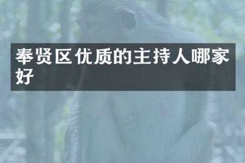 奉贤区优质的主持人哪家好