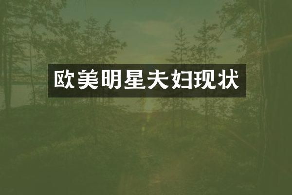 欧美明星夫妇现状