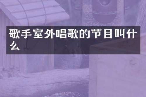 歌手室外唱歌的节目叫什么