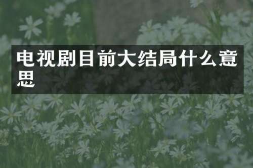 电视剧目前大结局什么意思