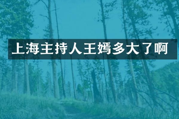 上海主持人王嫣多大了啊