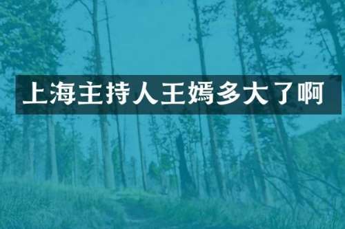 上海主持人王嫣多大了啊
