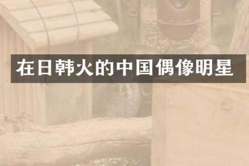 在日韩火的中国偶像明星