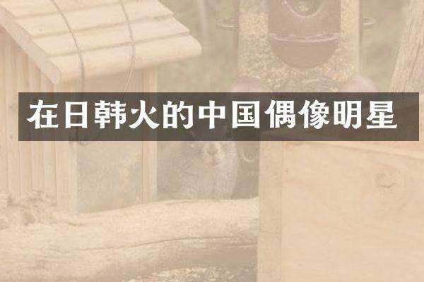 在日韩火的中国偶像明星