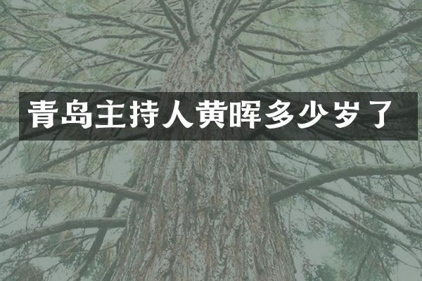 青岛主持人黄晖了