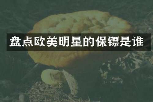 盘点欧美明星的保镖是谁