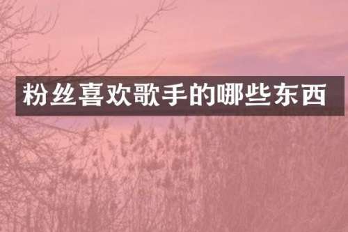 粉丝喜欢歌手的哪些东西