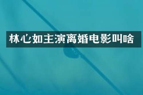 林心如主演离婚电影叫啥