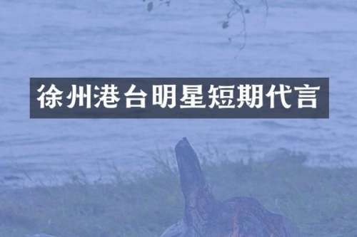 徐州港台明星短期代言