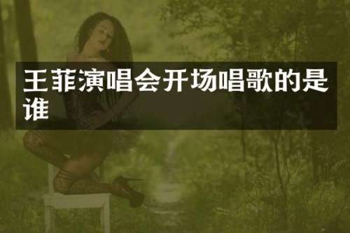 王菲演唱会开场唱歌的是谁