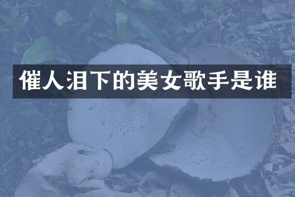 催人泪下的歌手是谁