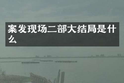 案发现场二部大结局是什么