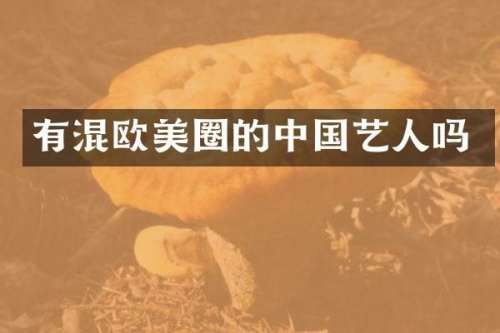 有混欧美圈的中国艺人吗