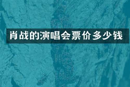 肖战的演唱会票价多少钱