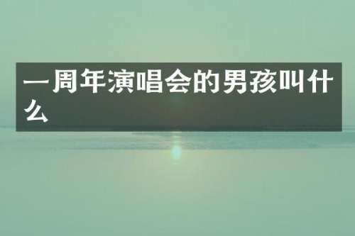 一周年演唱会的男孩叫什么
