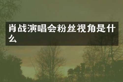 肖战演唱会粉丝视角是什么