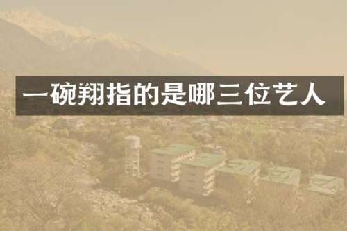 一碗翔指的是哪三位艺人