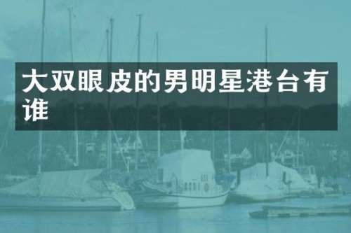 大双眼皮的男明星港台有谁