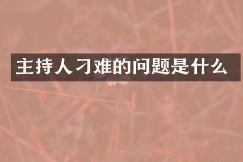 主持人刁难的问题是什么
