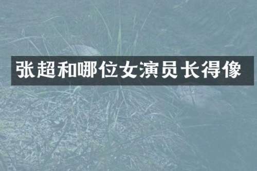 张超和哪位女演员长得像