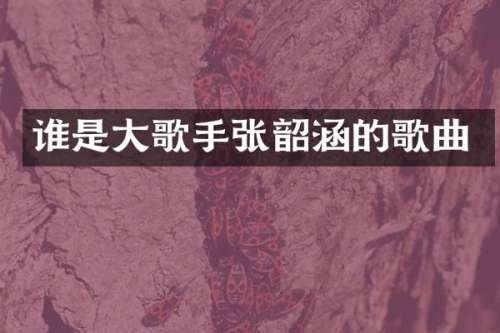 谁是大歌手张韶涵的歌曲