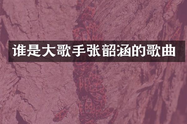 谁是大歌手张韶涵的歌曲