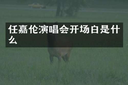 任嘉伦演唱会开场白是什么