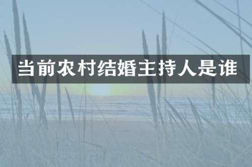 当前农村结婚主持人是谁