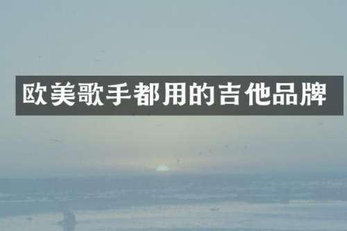 欧美歌手都用的吉他品牌