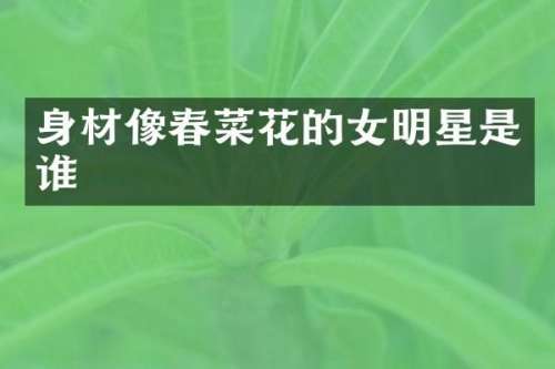 身材像春菜花的女明星是谁