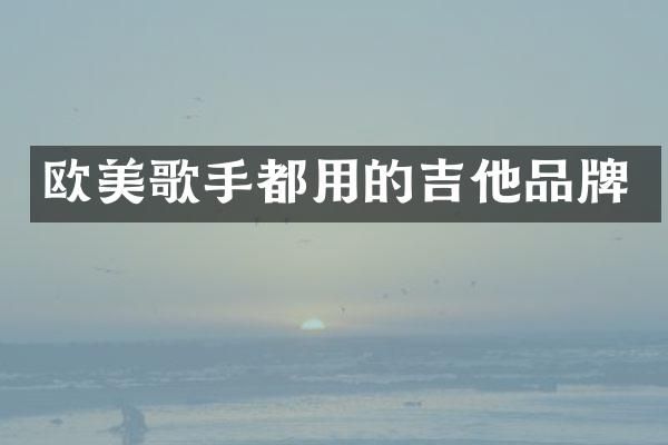 欧美歌手都用的吉他品牌